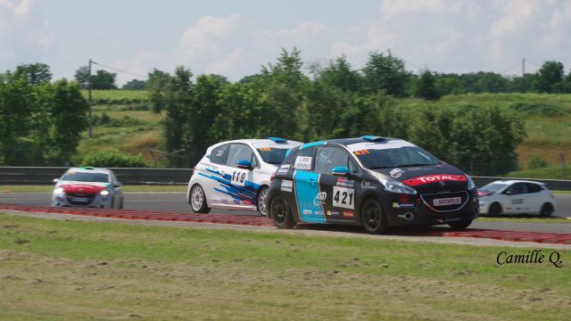 IMGP2627